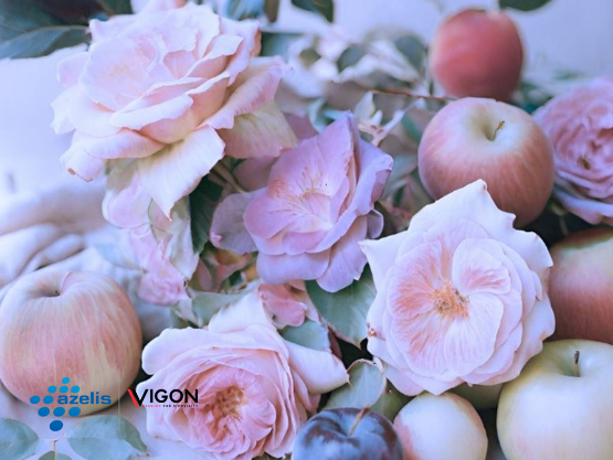 Vigon International